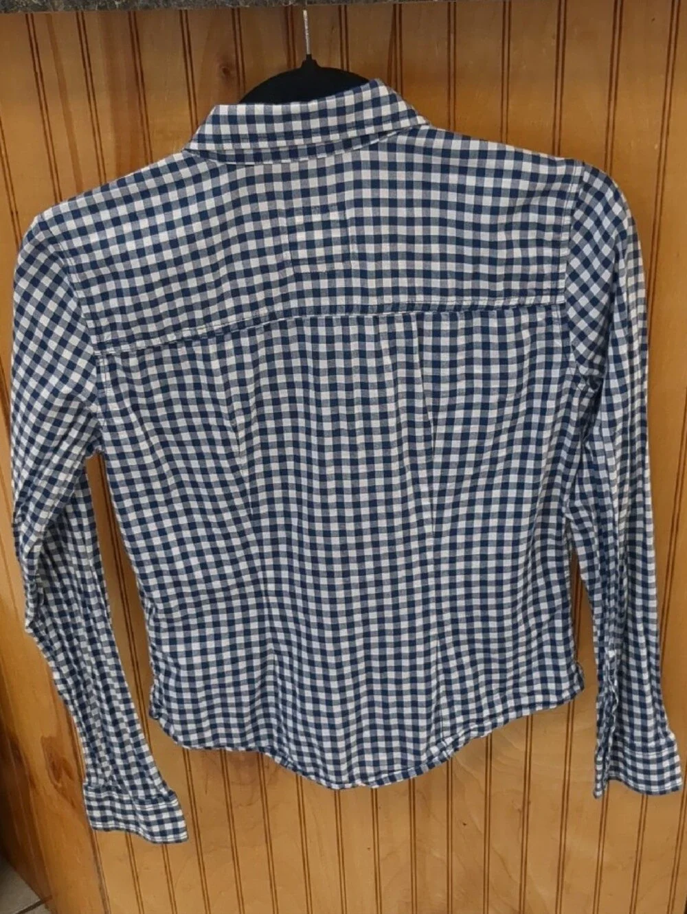 Hollister Blue and White Gingham Button-Down Shirt